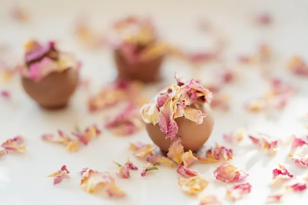 Coin365Bet Casino Android/iOS aplikacija